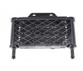 Radiateur "Black" Moteur 150cc V3 + Durite YX