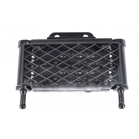 Radiateur "Black" Moteur 150cc V3 + Durite YX