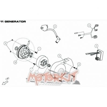 Cablage Moteur Pit Bike DAYTONA ANIMA avec phare