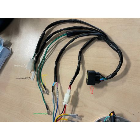 Plateau d'Allumage Moteur Compétition (YX/Lifan)