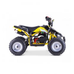 POCKET QUAD KEROX REX 49CC BW6 ROSE 2021