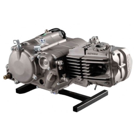 Moteur Daytona Anima SGH 190cc - course courte - 5 vitesses