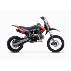 Dirt Bike Mini MX Rookie 125cc 12"/14" - Orange (2024)