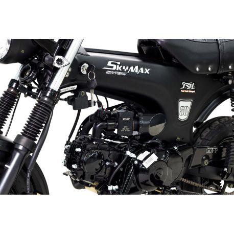 Moto Homologuée DAX 50cc SKYTEAM - Black Edition