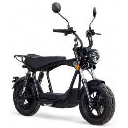 Moto Homologuée DAX SKYTEAM - E-WAT 1200W