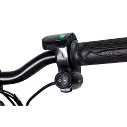 Bici bilanciata elettrica CRZ Dreely 12" 24V 150 Watt