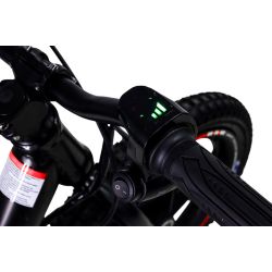 Bici bilanciata elettrica CRZ Dreely 12" 24V 150 Watt