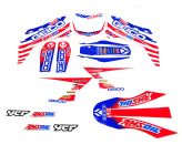 Kit Decoration YCF GEICO Pilot / SP