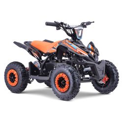 Quad Electrique DIAMON Flip...