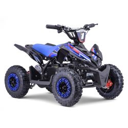 Quad Elettrico DIAMON Flip...