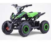 Quad Electrique DIAMON Flip 800W - Vert