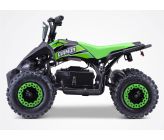 Quad Electrique DIAMON Flip 800W - Vert