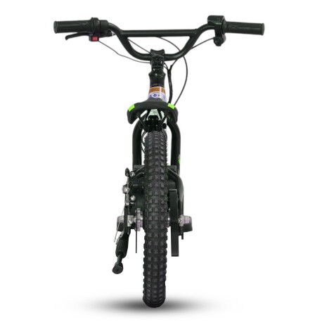 Draisienne électrique - PROBIKE - 16" 24V 250Watts - Vert