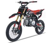 Dirt Bike - PROBIKE 125cc-SE - 14/17" - Avviamento elettrico - (2025) - Rosso