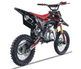 Pit Bike PROBIKE 140-S - 14/12 - Vert - 2021