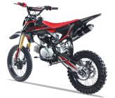 Pit Bike PROBIKE 140-S - 14/12 - Vert - 2021