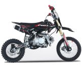 Dirt Bike - PROBIKE 125-SX - 14/12 - (2025) - Rosso