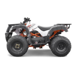 Quad per adolescenti KAYO - AU150cc - 10"/9"