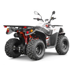 Quad homologué KAYO - AU200cc - 10"