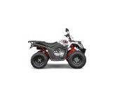 Quad homologué KAYO - AU200cc - 10"