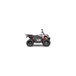 Quad homologué KAYO - AU200cc - 10"