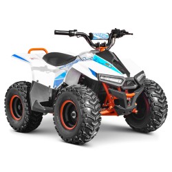 Quad elettrico per bambini...